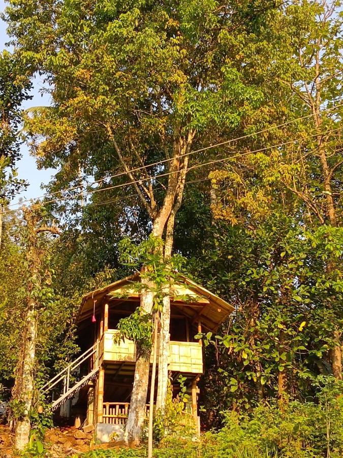 Fab - Bamboo Hut With Open Shower Munnar Kültér fotó